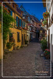 Eguisheim (41)