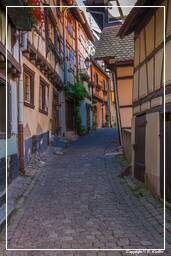 Eguisheim (48)
