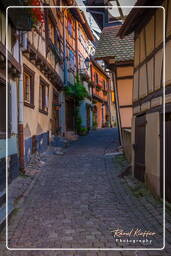 Eguisheim (48)