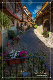 Eguisheim (51)