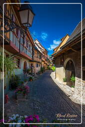 Eguisheim (52)