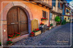 Eguisheim (59)