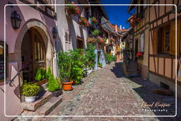 Eguisheim (61)