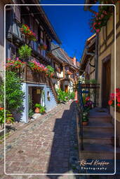 Eguisheim (63)