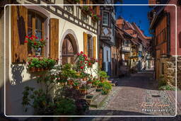 Eguisheim (70)