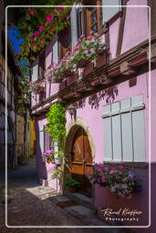 Eguisheim (82)