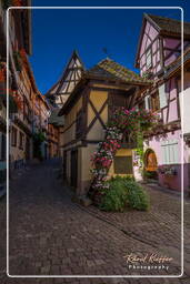 Eguisheim (85) La Colombaia