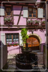 Eguisheim (89)