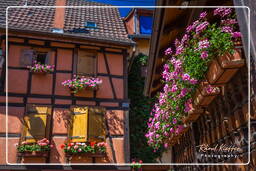 Eguisheim (97)