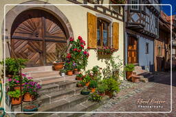 Eguisheim (102)