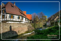 Kaysersberg (18)