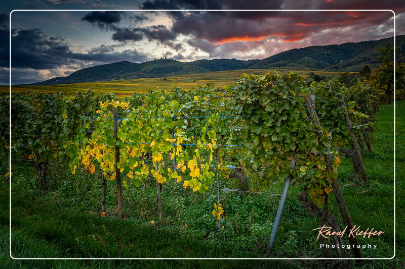 Wettolsheim, Alsace, France