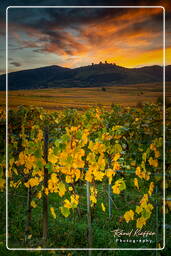 Wettolsheim (500) Château de Haut-Eguisheim (Três Castelos)