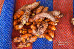 Cacao market, Cacao (12)
