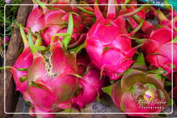 Dragon fruit (Pitaya), Cacao (27)