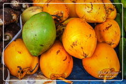 Cacao market, Cacao (33)