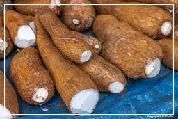 Cacao (41) Cassava (Manioc)