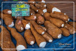 Cassava (Manioc), Cacao (43)