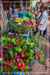 Cacao (48) Cacao market