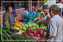 Cacao (56) Marché de Cacao