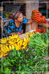 Cacao market, Cacao (65)