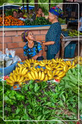 Cacao market, Cacao (93)