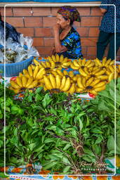 Cacao (97) Marché de Cacao