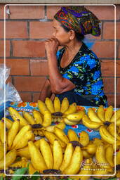 Cacao market, Cacao (99)