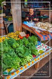 Cacao (103) Mercado de Cacao