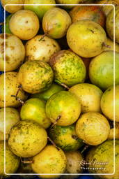 Maracuja (Passion fruit), Cacao (119)