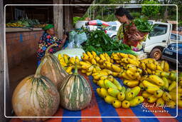 Cacao (131) Cacao market