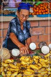 Cacao (140) Marché de Cacao