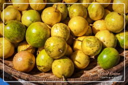 Maracuja (Passion fruit), Cacao (144)