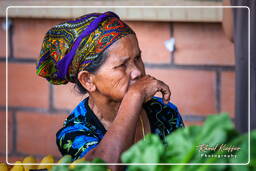 Cacao (159) Mercado de Cacao