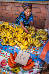 Cacao (212) Mercado de Cacao