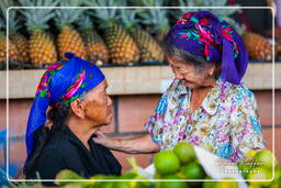 Cacao market, Cacao (219)
