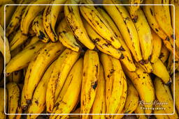 Banana, Cacao (235)