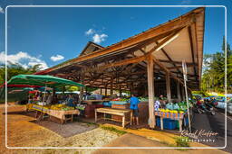 Cacao market, Cacao (268)