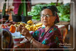 Cacao (296) Mercado de Cacao