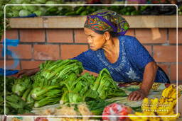 Cacao (412) Marché de Cacao