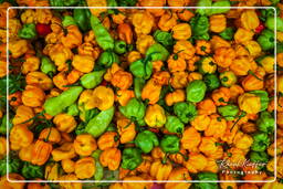 Chili pepper, Cayenne market (1)
