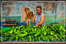 Marché de Cayenne (5)