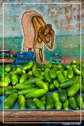 Cayenne market (11) Cucumber