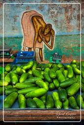 Cucumber, Cayenne market (11)