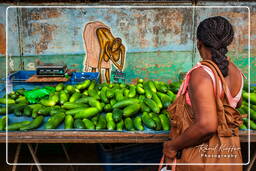 Marché de Cayenne (15)