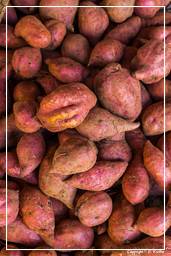 Cayenne market (44) Potato