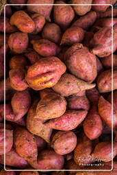 Potato, Cayenne market (44)