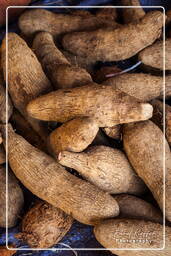 Sweet potato, Cayenne market (46)