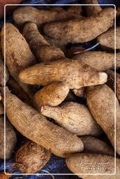 Cayenne market (46) Sweet potato