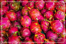 Dragon fruit (Pitaya), Cayenne market (62)